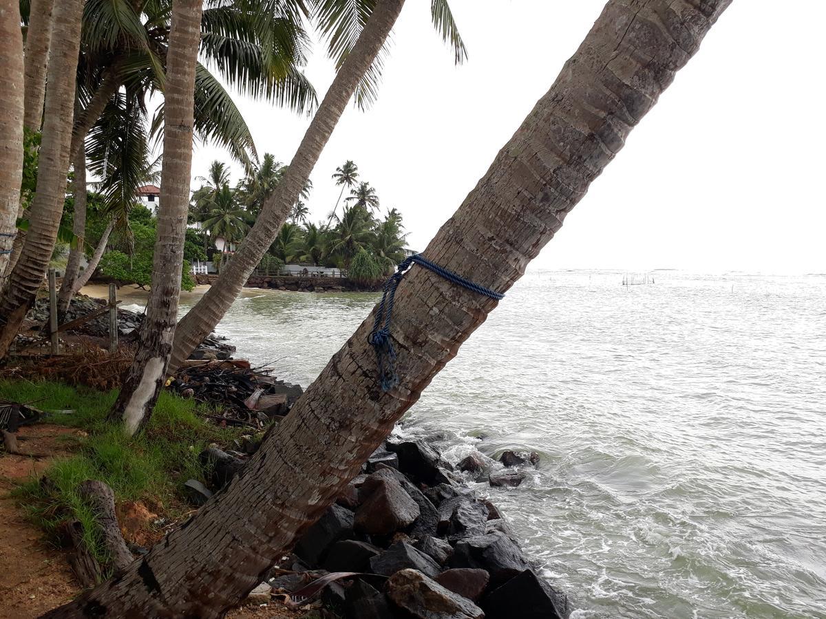Himawari Beach Villa Matara Exteriér fotografie